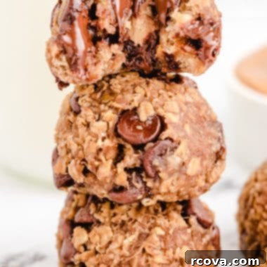 No-Fuss Vegan Chocolate Chip Perfection 7 rolled Vegan cookies with chocolate chips