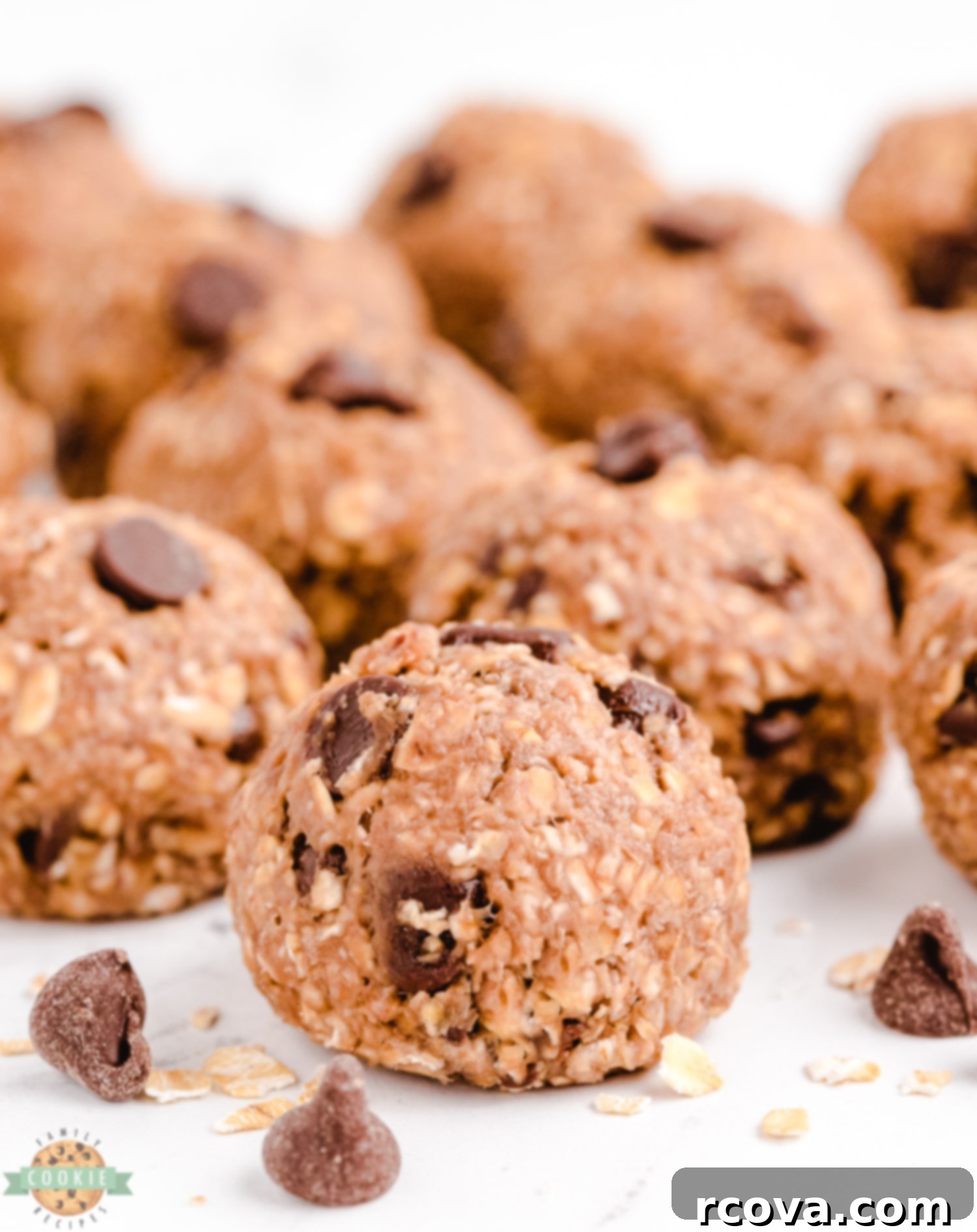 No-Fuss Vegan Chocolate Chip Perfection 8 vegan cookies