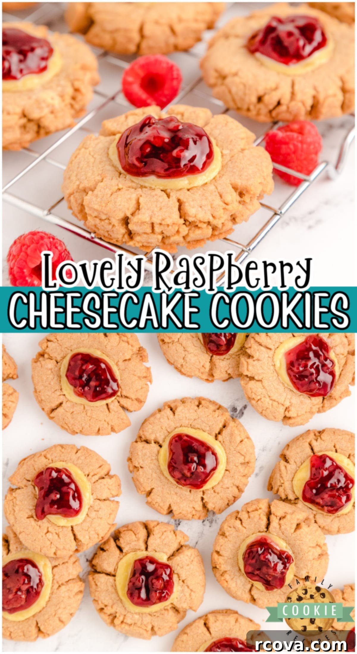 Dreamy Raspberry Cheesecake Cookies 10 A stunning Pinterest-optimized image featuring Easy Raspberry Cheesecake cookies, highlighting their graham cracker base, creamy filling, and vibrant raspberry topping, perfect for cheesecake lovers.