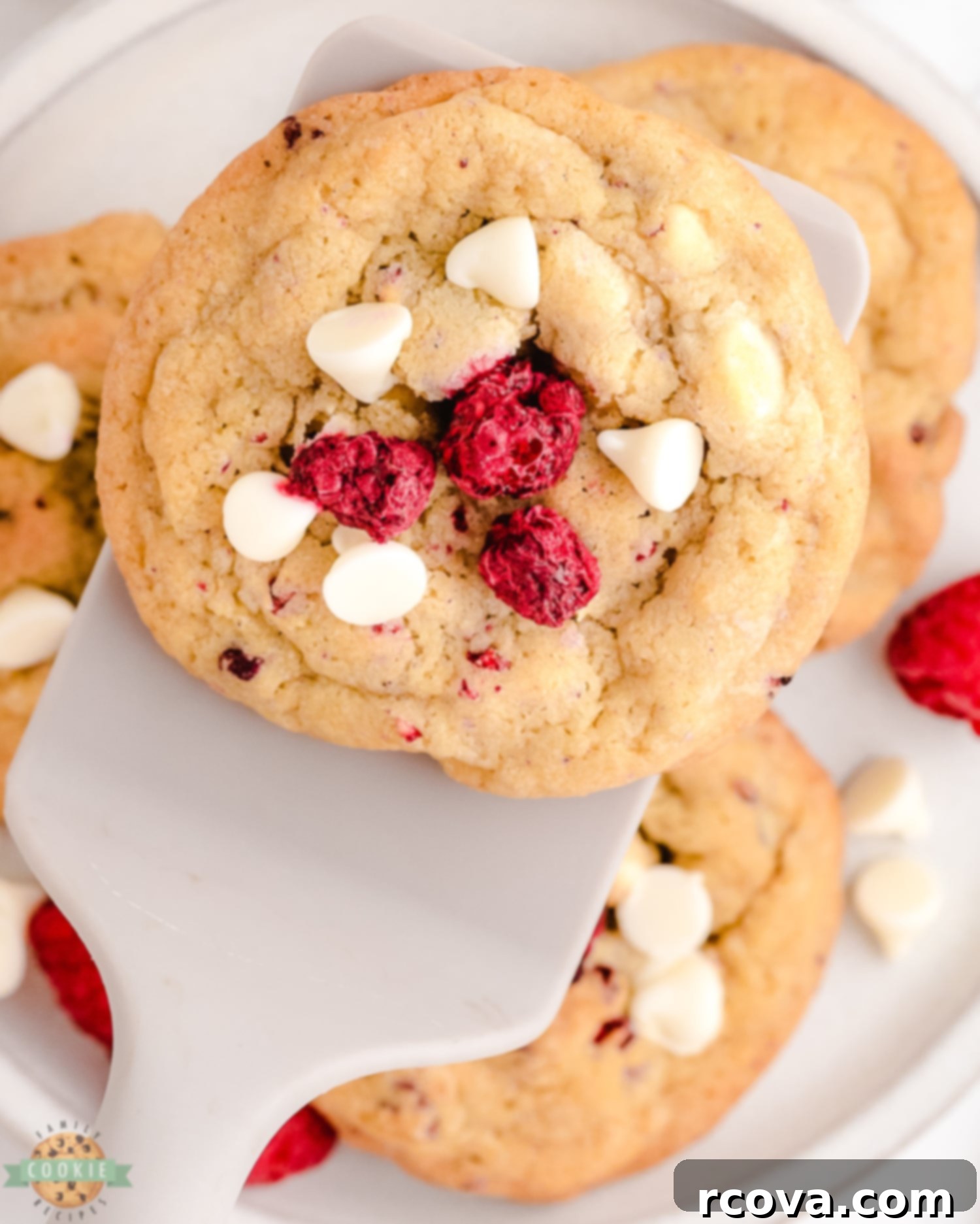 Decadent Raspberry White Chocolate Cookies 4 serving a raspberry cookie