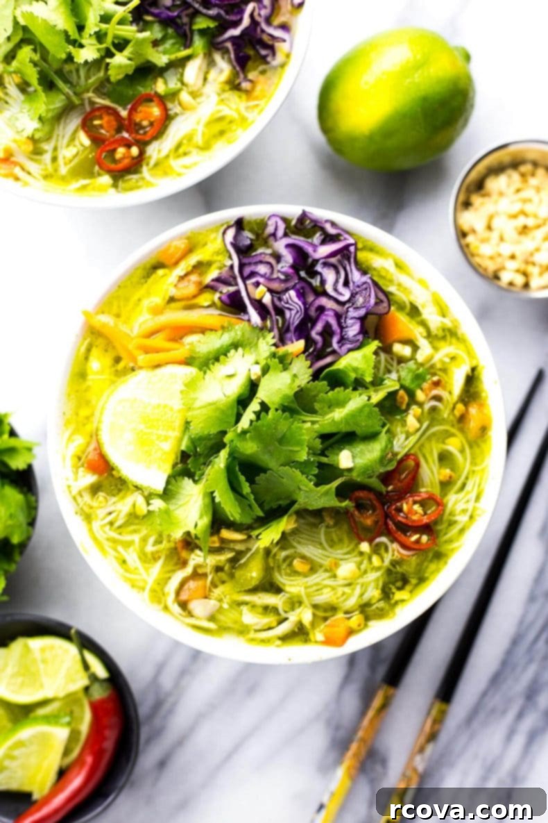 Thai Green Curry Chicken Noodle Bowls 2 Thai Green Curry Chicken Vermicelli Bowls