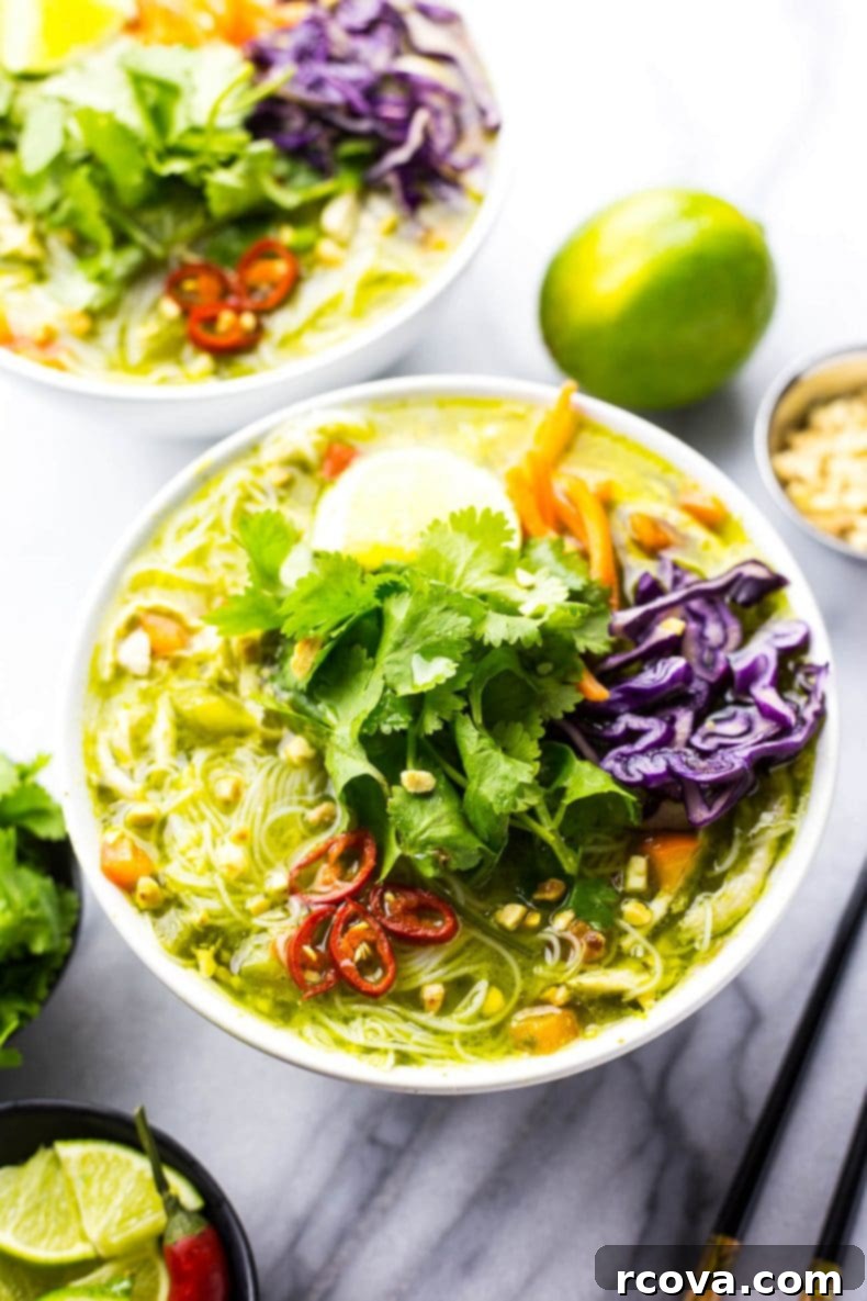 Thai Green Curry Chicken Noodle Bowls 5 Thai Green Curry Chicken Vermicelli Bowls