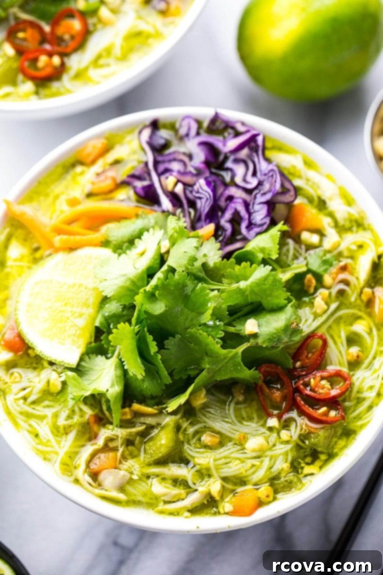 Thai Green Curry Chicken Noodle Bowls 6 Thai Green Curry Chicken Vermicelli Bowls