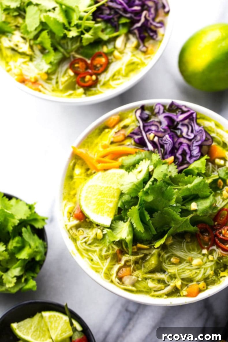 Thai Green Curry Chicken Noodle Bowls 8 Thai Green Curry Chicken Vermicelli Bowls