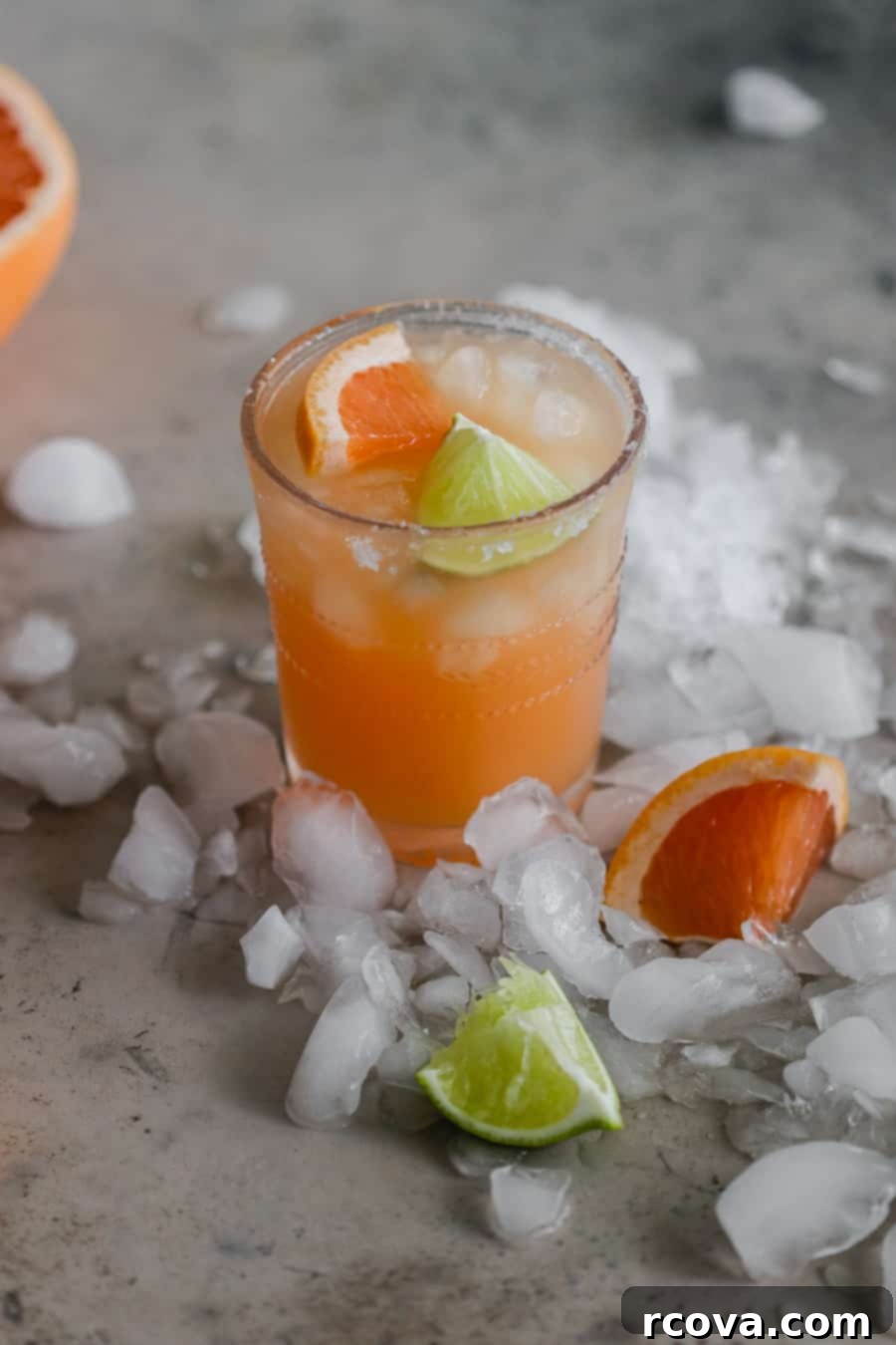 Garden Salty Dog 2 Celery Salty Dog