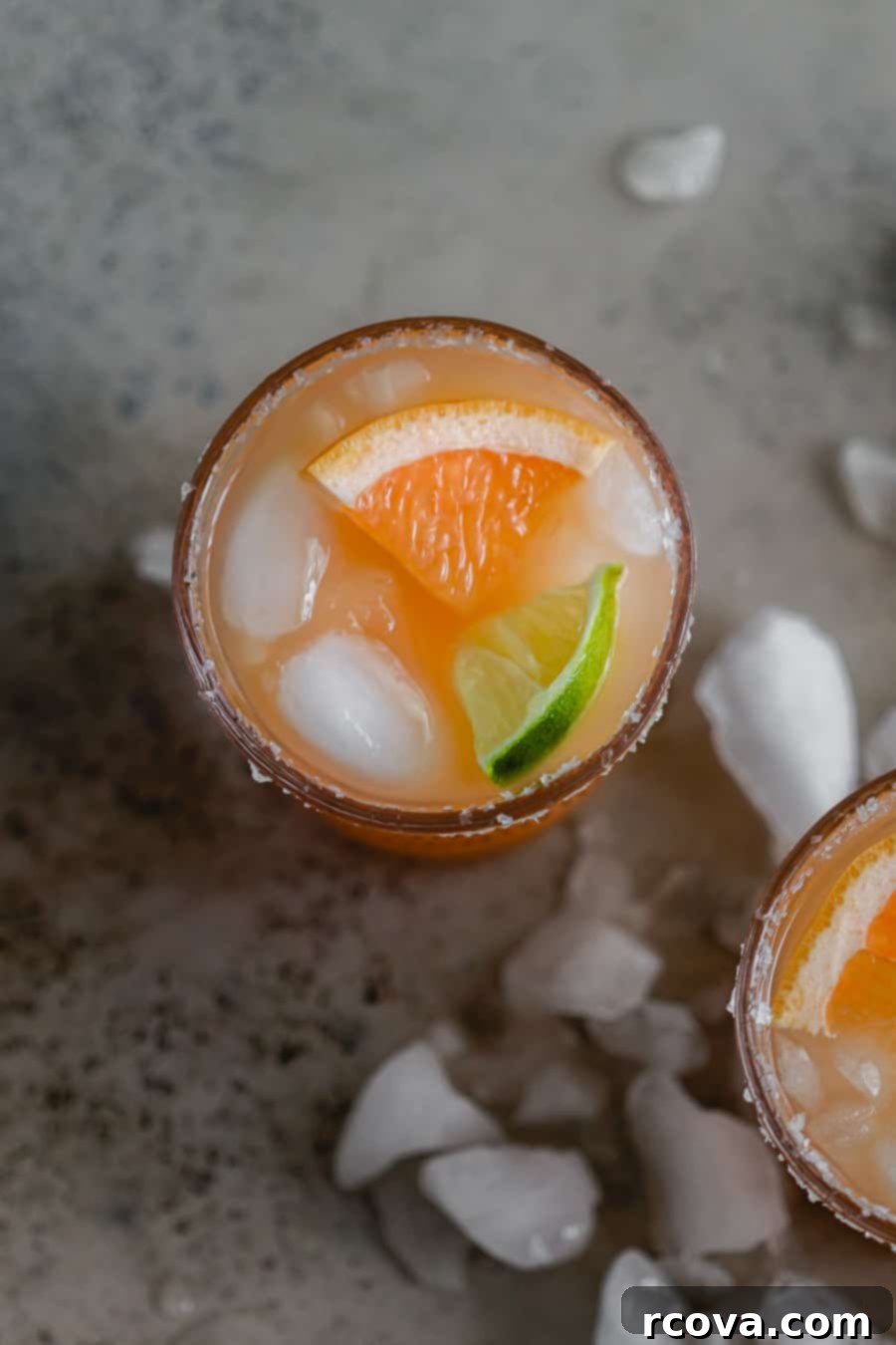 Garden Salty Dog 4 Celery Salty Dog