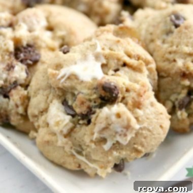 Gooey Graham Cracker S'mores Cookies 7 s'mores chocolate chip cookie