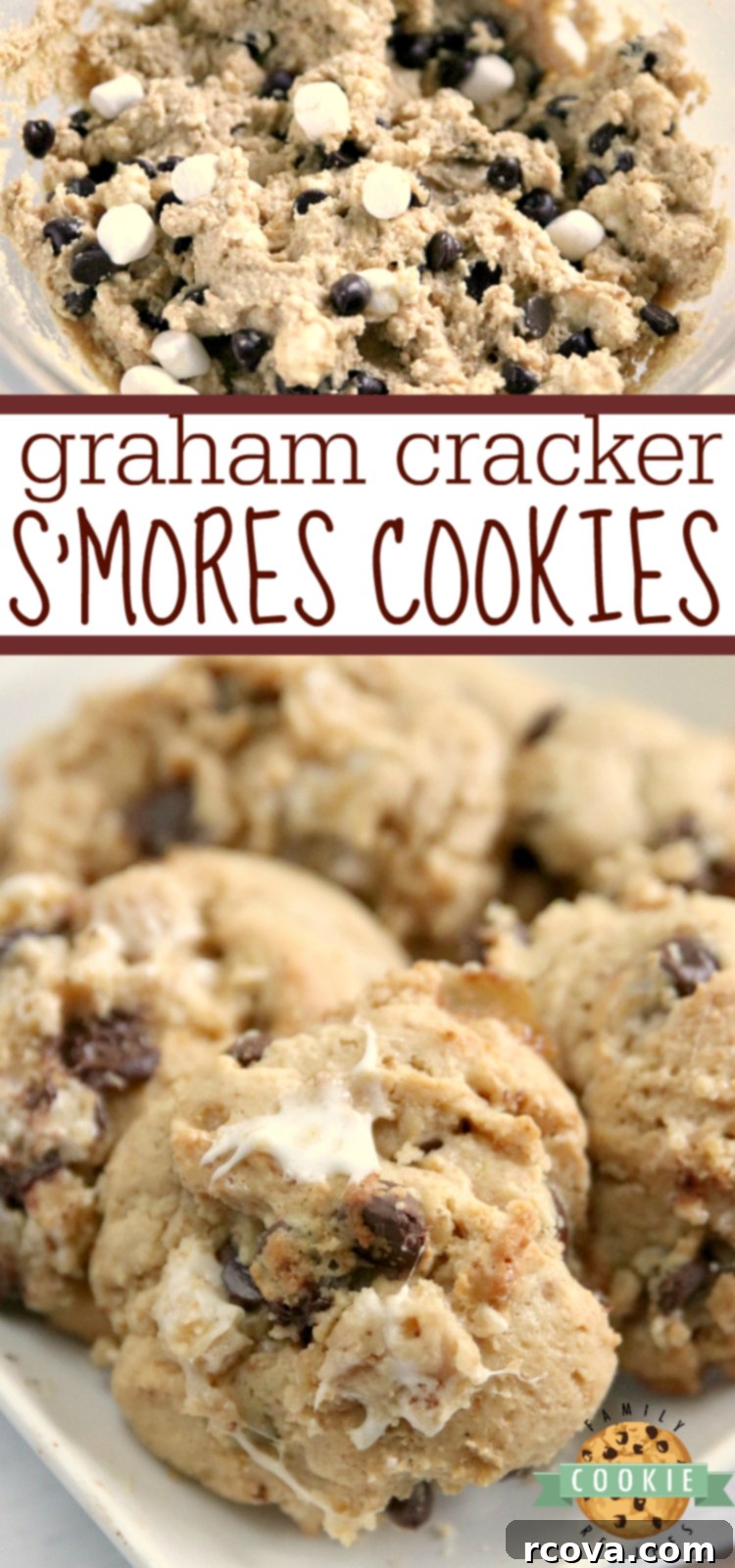 Gooey Graham Cracker S'mores Cookies 8 A close-up of a perfectly baked Graham Cracker S'mores Cookie, showcasing its soft center and golden edge.