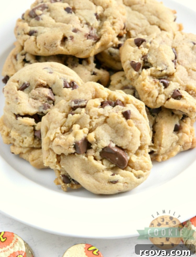 Decadent Candy Bar Cookies 2 Soft and chewy Reese's Peanut Butter Pudding Cookies with chopped Reese's cups