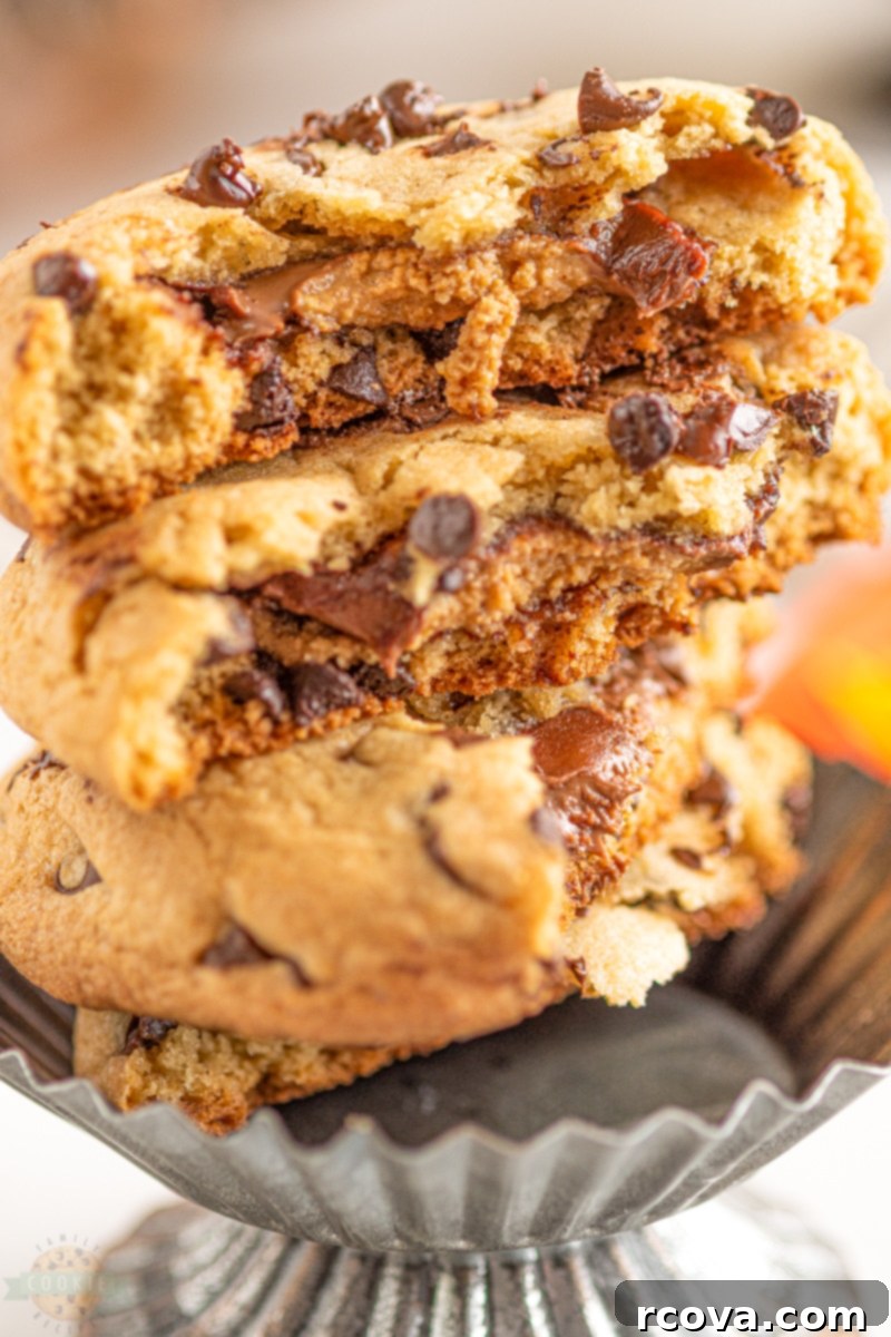 Decadent Candy Bar Cookies 4 Gooey Reese's Chocolate Chip Cookies stuffed with Reese's Peanut Butter Cups