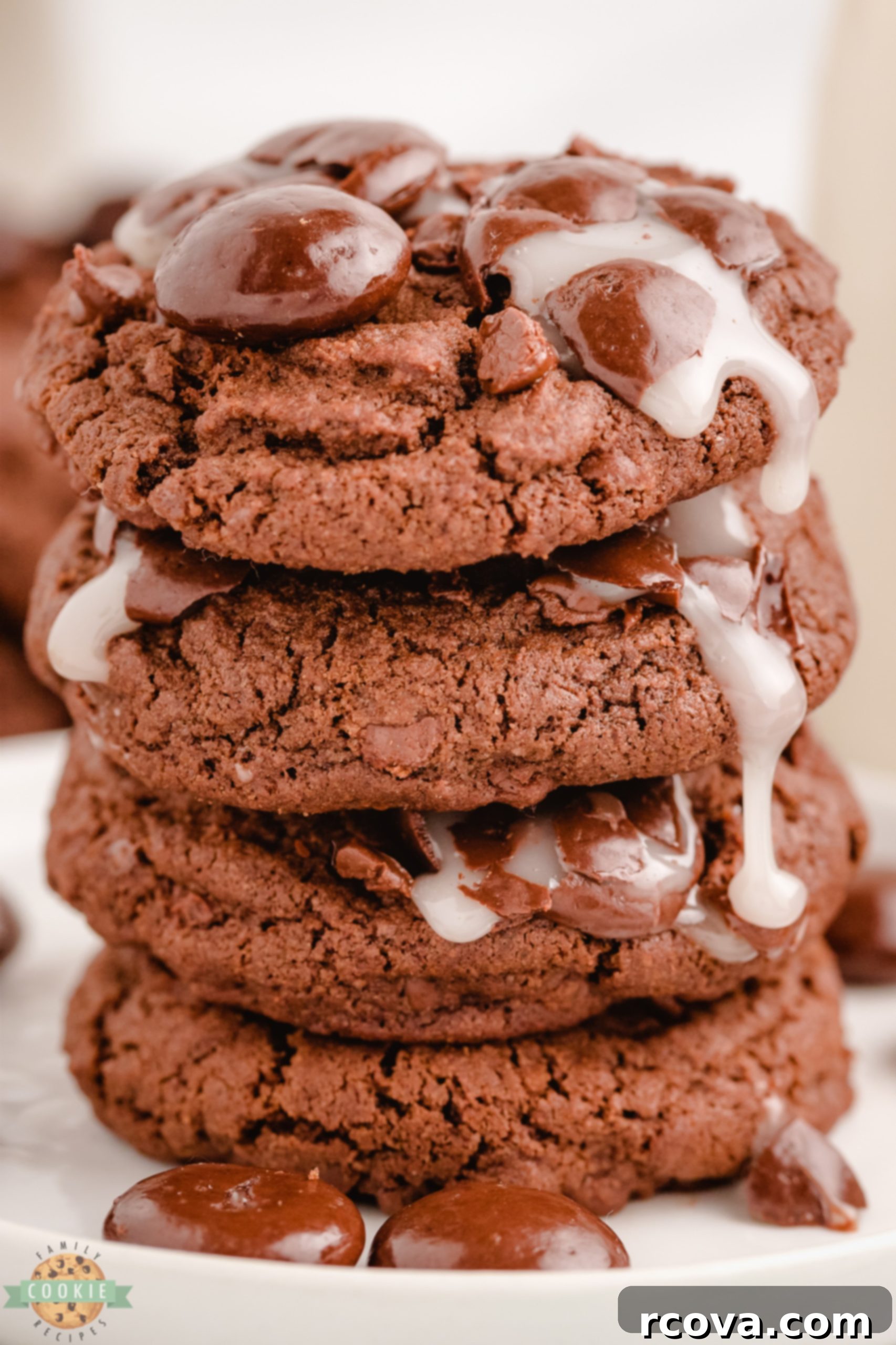 Decadent Candy Bar Cookies 7 Rich and chewy Double Chocolate Junior Mint Cookies topped with Junior Mints