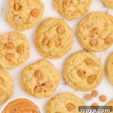 Peanut Butter Banana Bliss Bites 7 peanut butter banana cookies