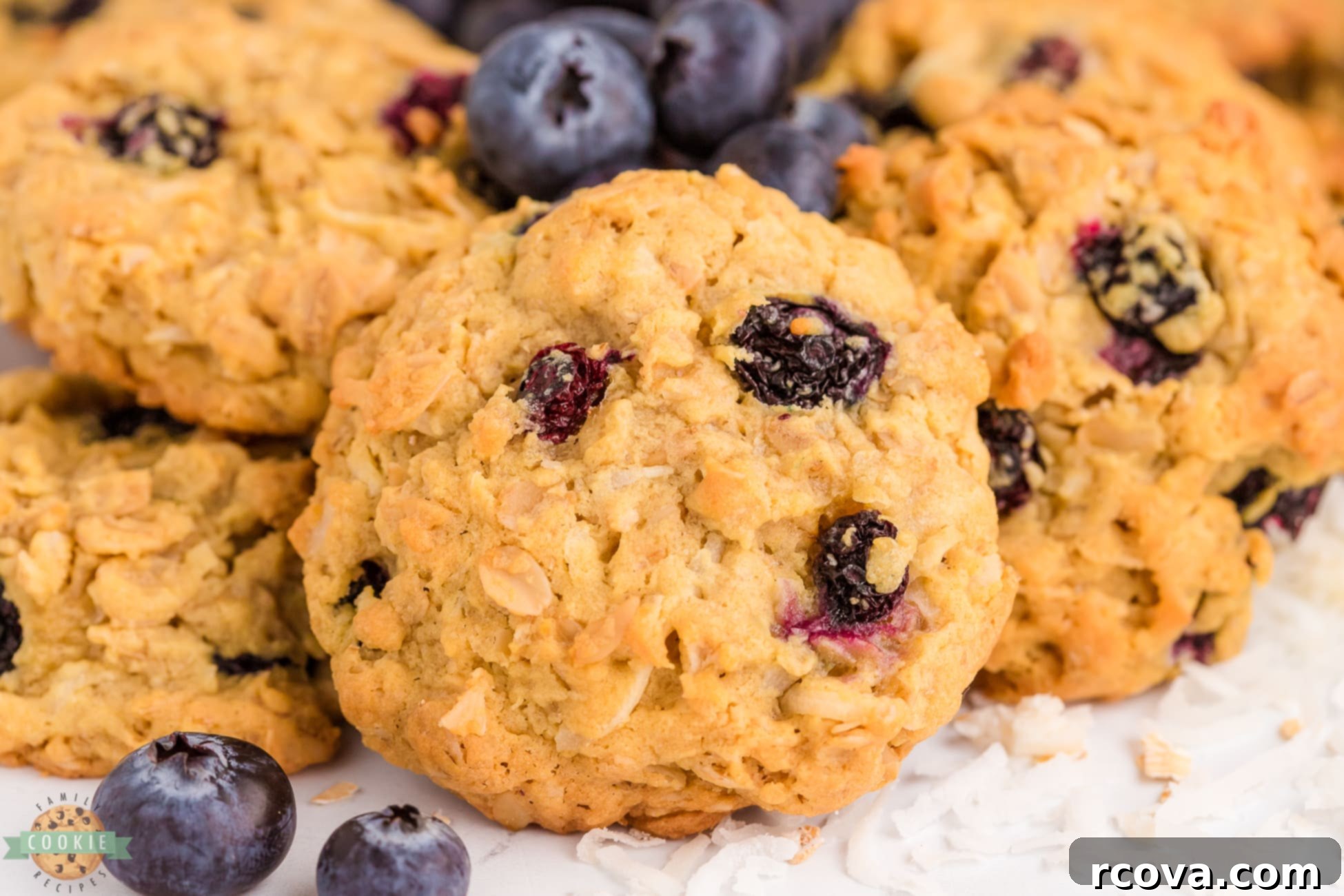 Soft and Chewy Blueberry Oatmeal Cookies 2 oatmeal cookies made with fresh blueberries and coconut