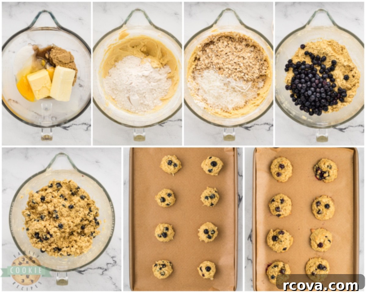 Soft and Chewy Blueberry Oatmeal Cookies 4 how to make blueberry coconut oatmeal cookies