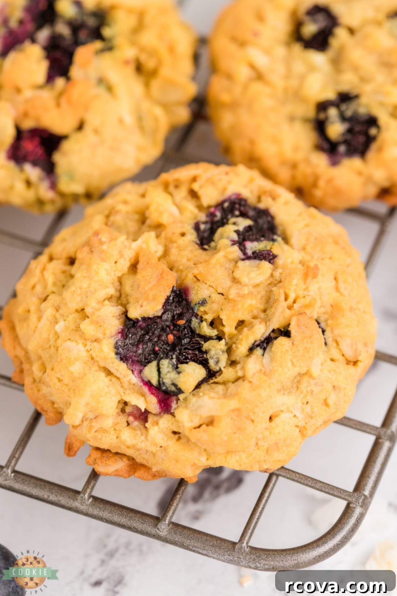 Soft and Chewy Blueberry Oatmeal Cookies 5 oatmeal cookie made with fresh blueberries and coconut