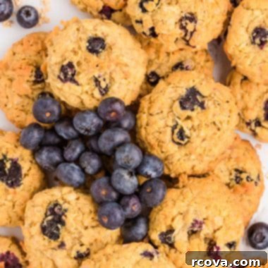 Soft and Chewy Blueberry Oatmeal Cookies 6 Blueberry coconut oatmeal cookies made with pudding mix