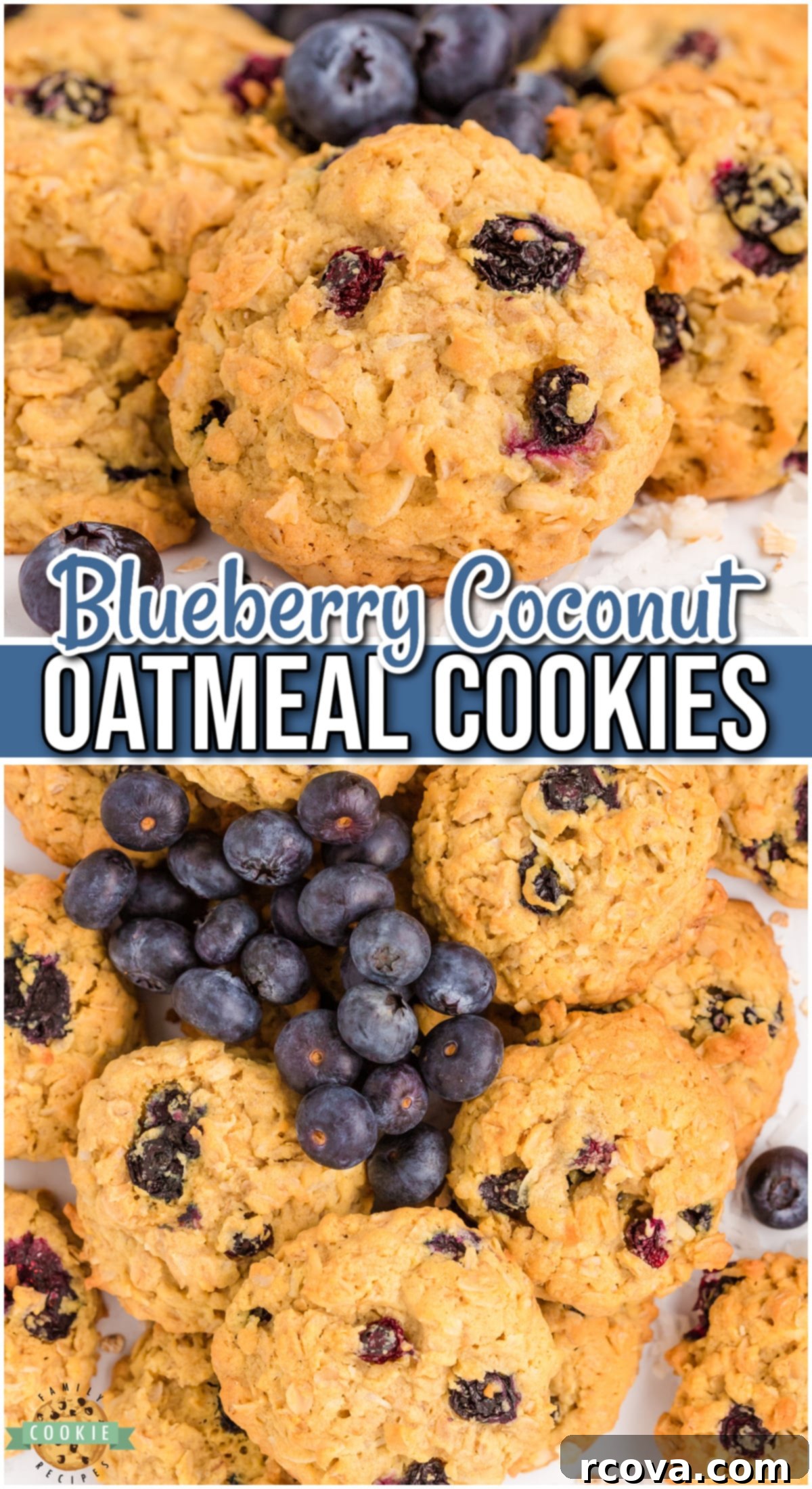 Soft and Chewy Blueberry Oatmeal Cookies 9 Blueberry Oatmeal Cookies are soft & chewy oatmeal cookies with lovely coconut & fresh blueberries! A delightful twist on oatmeal cookies!
