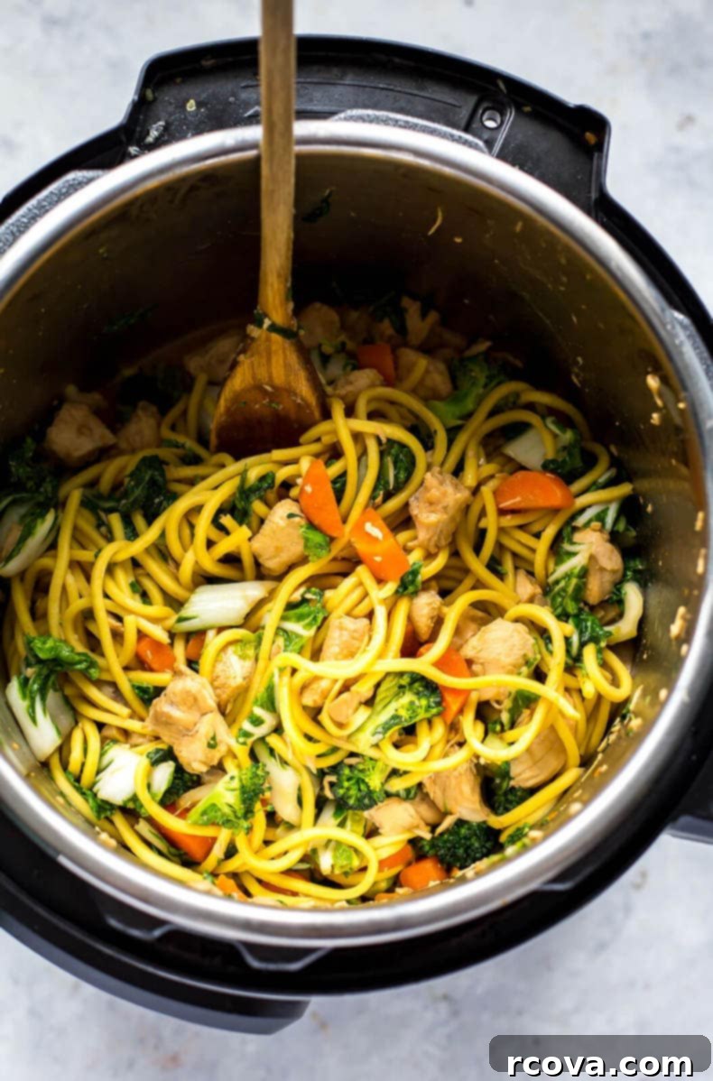 Quick and Easy Yakisoba Noodles Instant Pot or Stovetop 4 Instant Pot Yakisoba Noodle Bowls