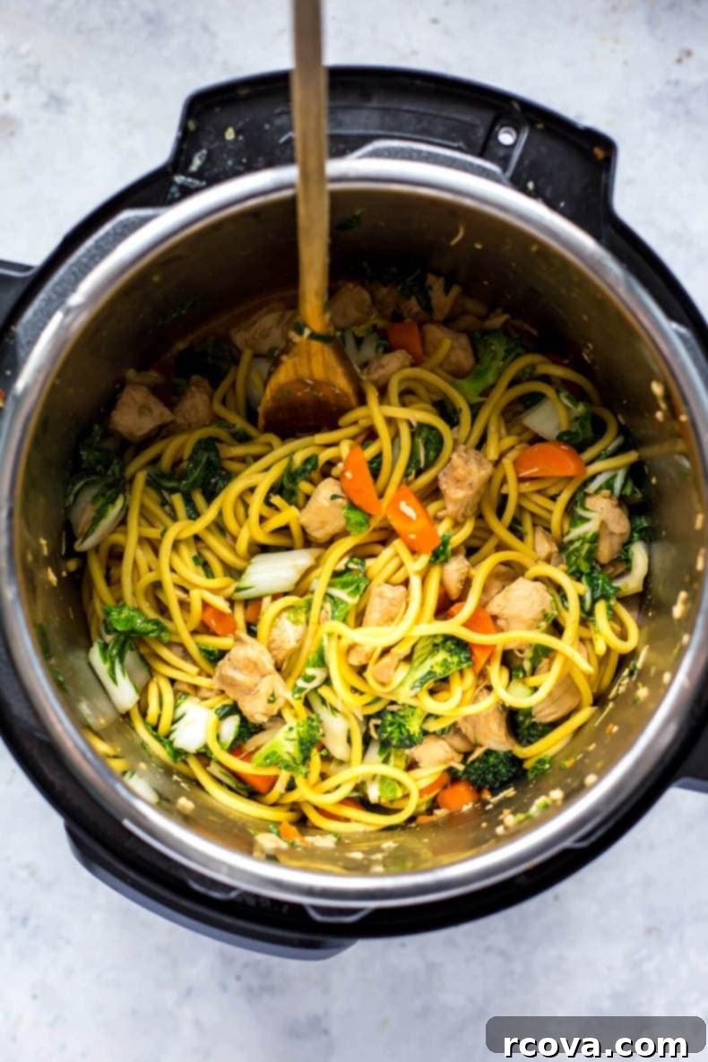 Quick and Easy Yakisoba Noodles Instant Pot or Stovetop 6 Instant Pot Yakisoba Noodle Bowls