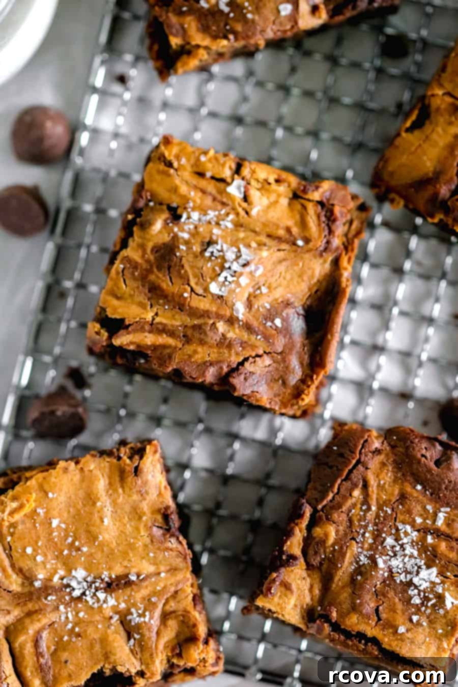 Elevated Pumpkin Swirl Brownies from a Box Mix 2 Pumpkin Brownies