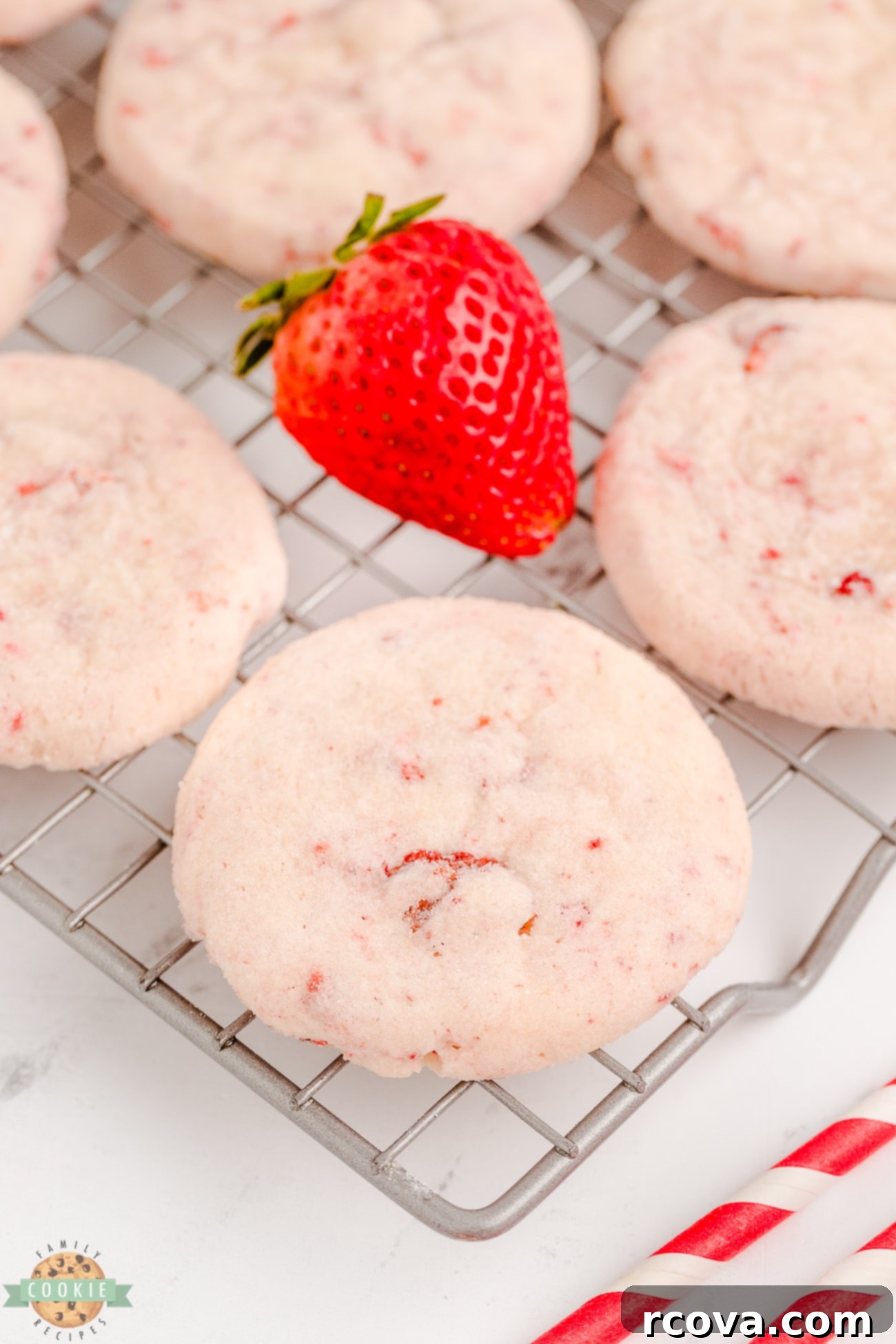 Luscious Strawberry Cream Cheese Sugar Cookies 8 Several cream cheese strawberry cookies arranged on a cooling rack