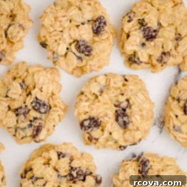 Easy No-Bake Oatmeal Raisin Cookies 5 no bake oatmeal raisin cookies made with pudding mix
