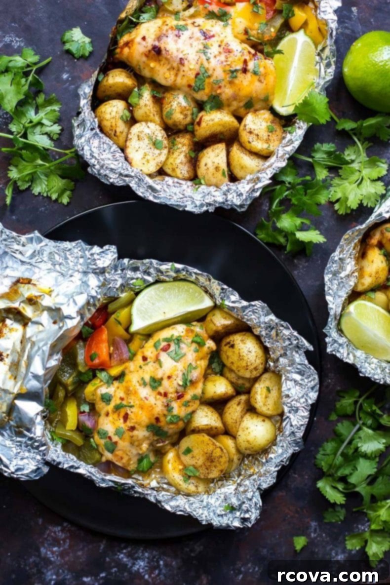 One Pan Southwest Chicken and Veggies 2 Southwest Chicken Foil Packets with Veggies