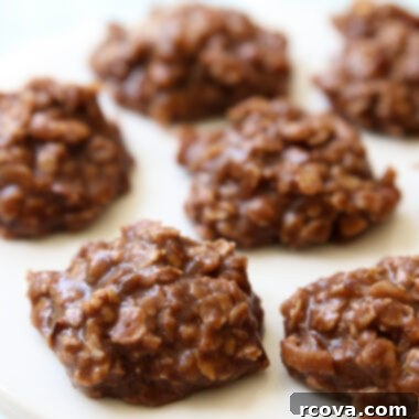 Effortless Peanut-Free No-Bake Cookie Perfection 6 no bake cookie recipe with coconut