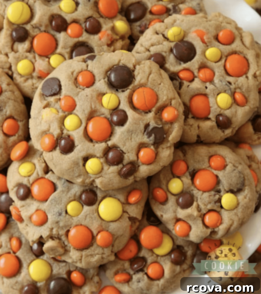 Peanut Butter Cookie Bliss 2 Decadent Reese's Peanut Butter Cookies loaded with chocolate chips, peanut butter chips, and Reese's Pieces.