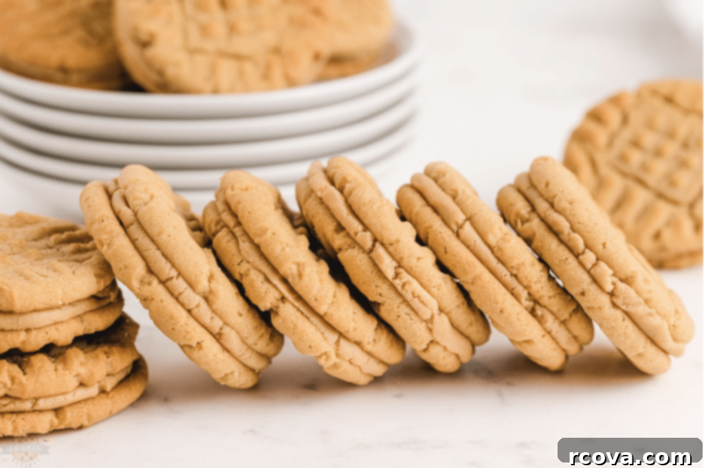 Peanut Butter Cookie Bliss 18 Homemade Peanut Butter Sandwich Cookies with chewy cookies and a creamy peanut butter filling.