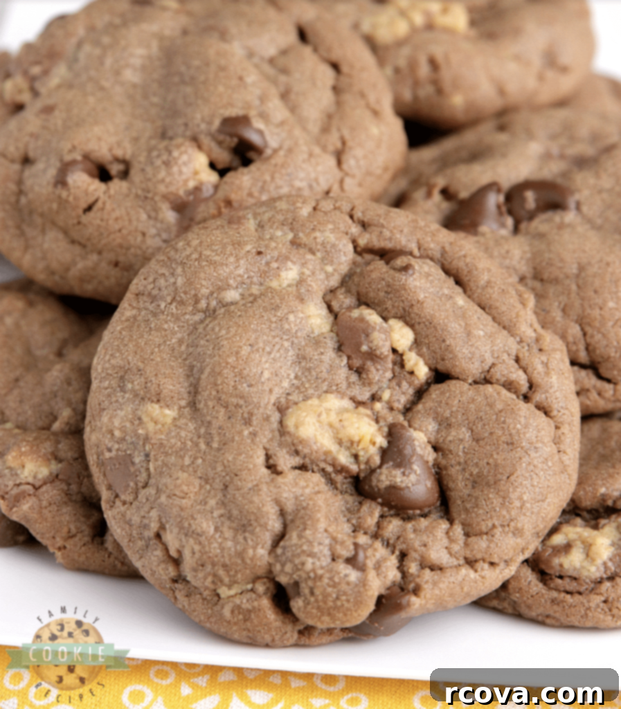 Peanut Butter Cookie Bliss 19 Reese's Chocolate Peanut Butter Cookies, soft and chewy with chocolate dough and Reese's Peanut Butter Cups.
