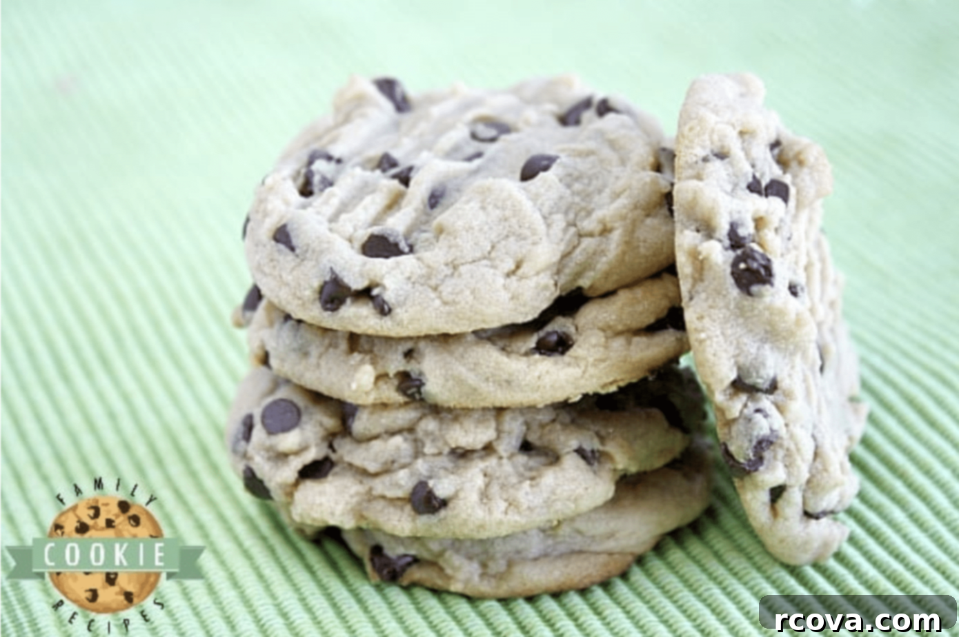 Peanut Butter Cookie Bliss 3 Soft and chewy Peanut Butter Chocolate Chip Cookies baked to perfection.