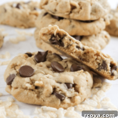 Peanut Butter Cookie Bliss 22 Amazing collection of peanut butter cookie recipes for every craving!