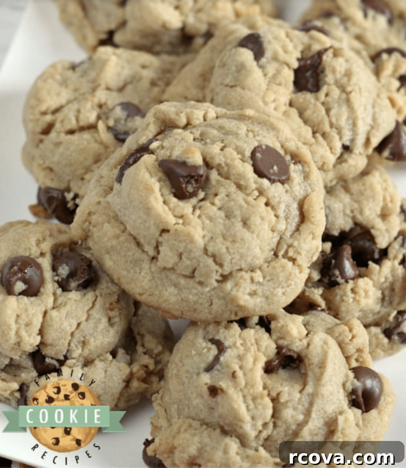 Peanut Butter Cookie Bliss 4 Thick and chewy Peanut Butter Oatmeal Chocolate Chip Cookies, a fusion of three classic cookie types.