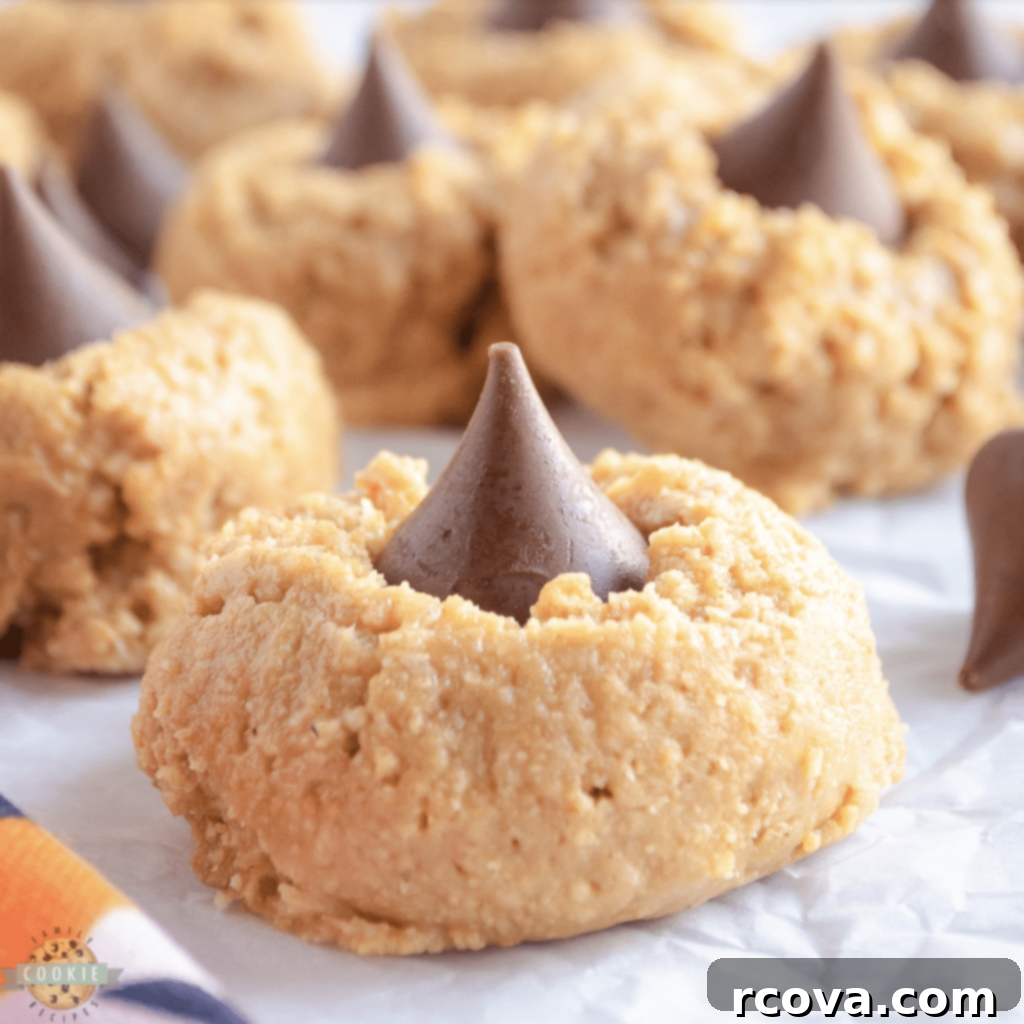 Peanut Butter Cookie Bliss 5 Easy 5-ingredient No-Bake Peanut Butter Blossoms, mimicking the classic cookie without an oven.