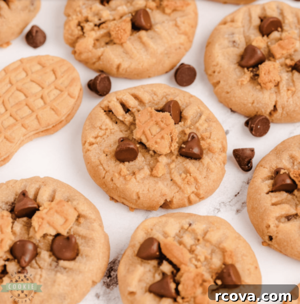 Peanut Butter Cookie Bliss 6 Nutter Butter Chocolate Chip Peanut Butter Cookies, enhanced with crushed Nutter Butter cookies.