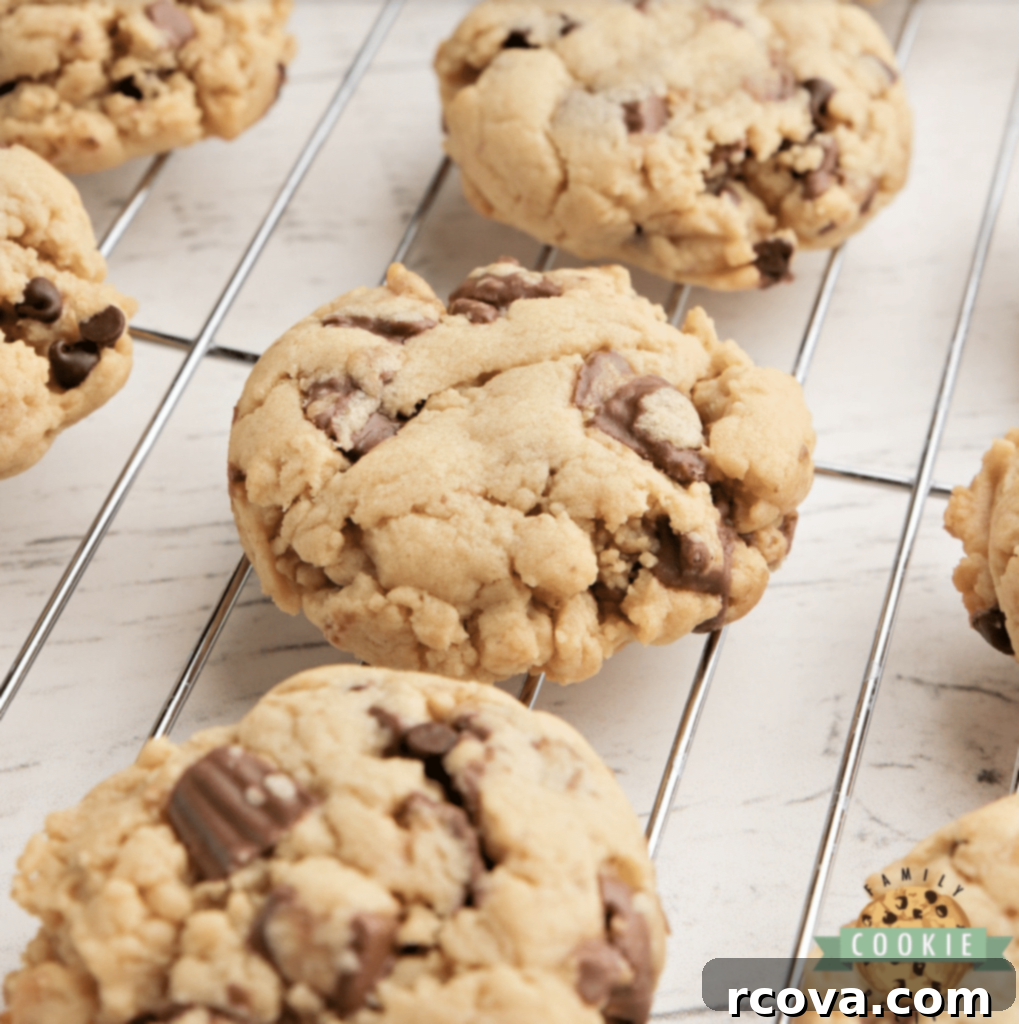 Peanut Butter Cookie Bliss 9 Unique Reese's Peanut Butter Banana Cookies with Reese's cups, chocolate chips, and banana pudding mix.