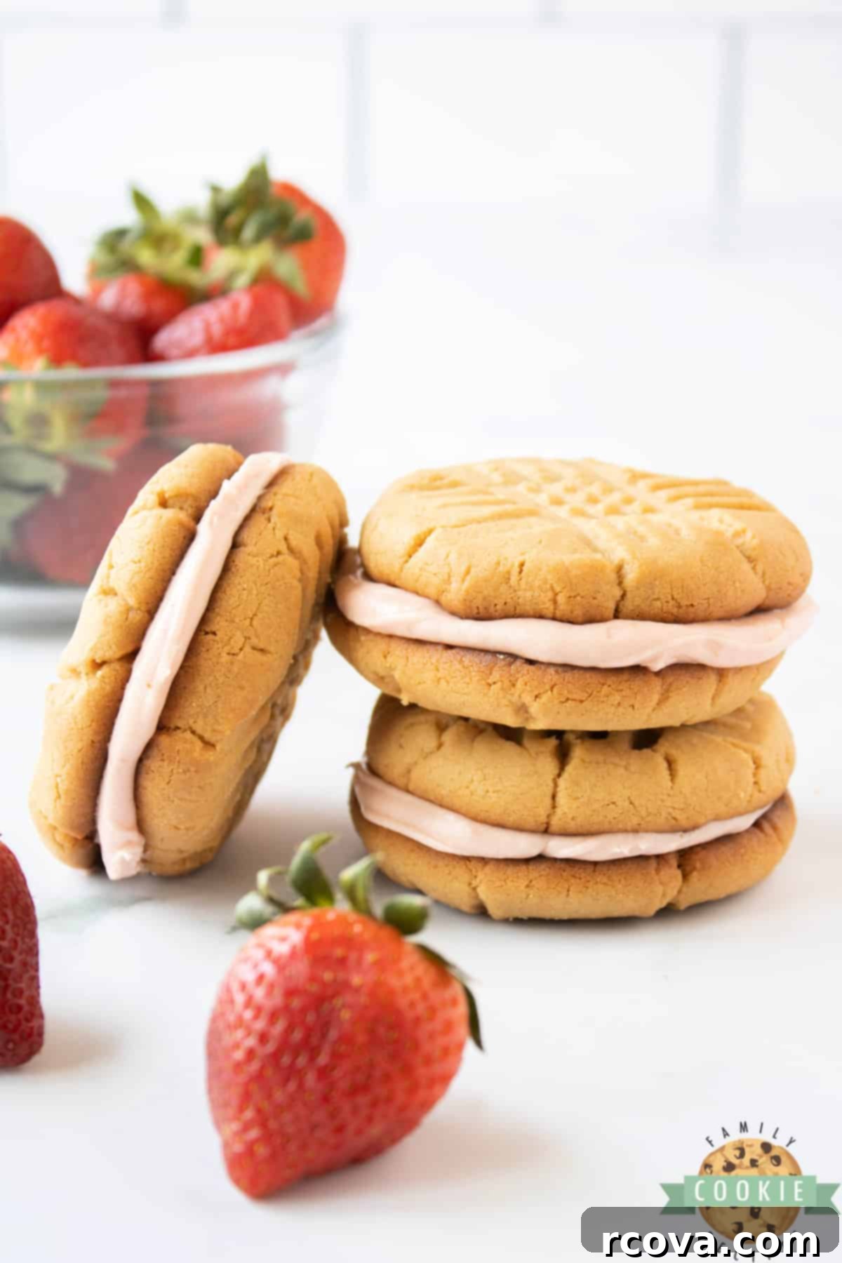 PB&J Cookie Delights 5 Peanut Butter Cookie Sandwiches