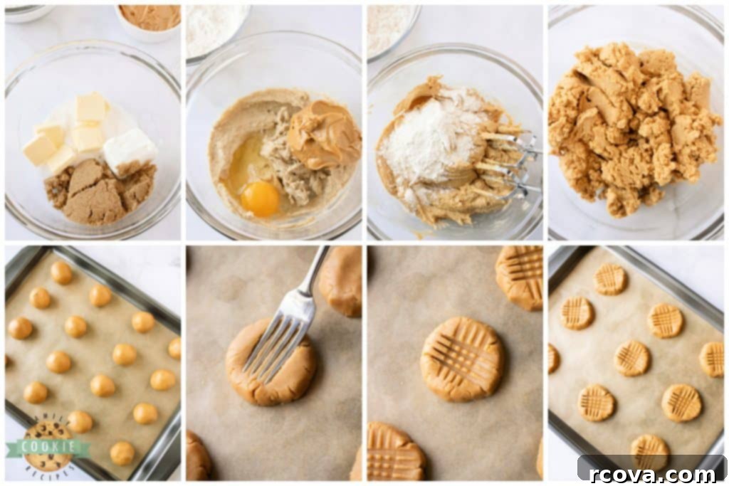 PB&J Cookie Delights 6 Step by step instructions on how to make peanut butter cookies