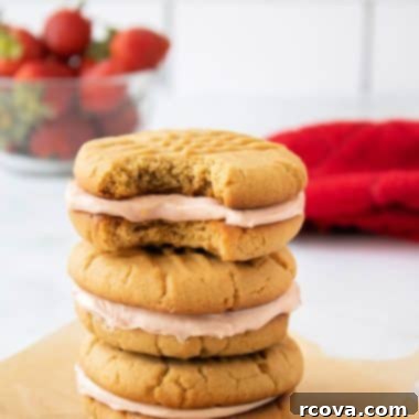 PB&J Cookie Delights 9 Peanut Butter and Jelly Sandwich Cookies