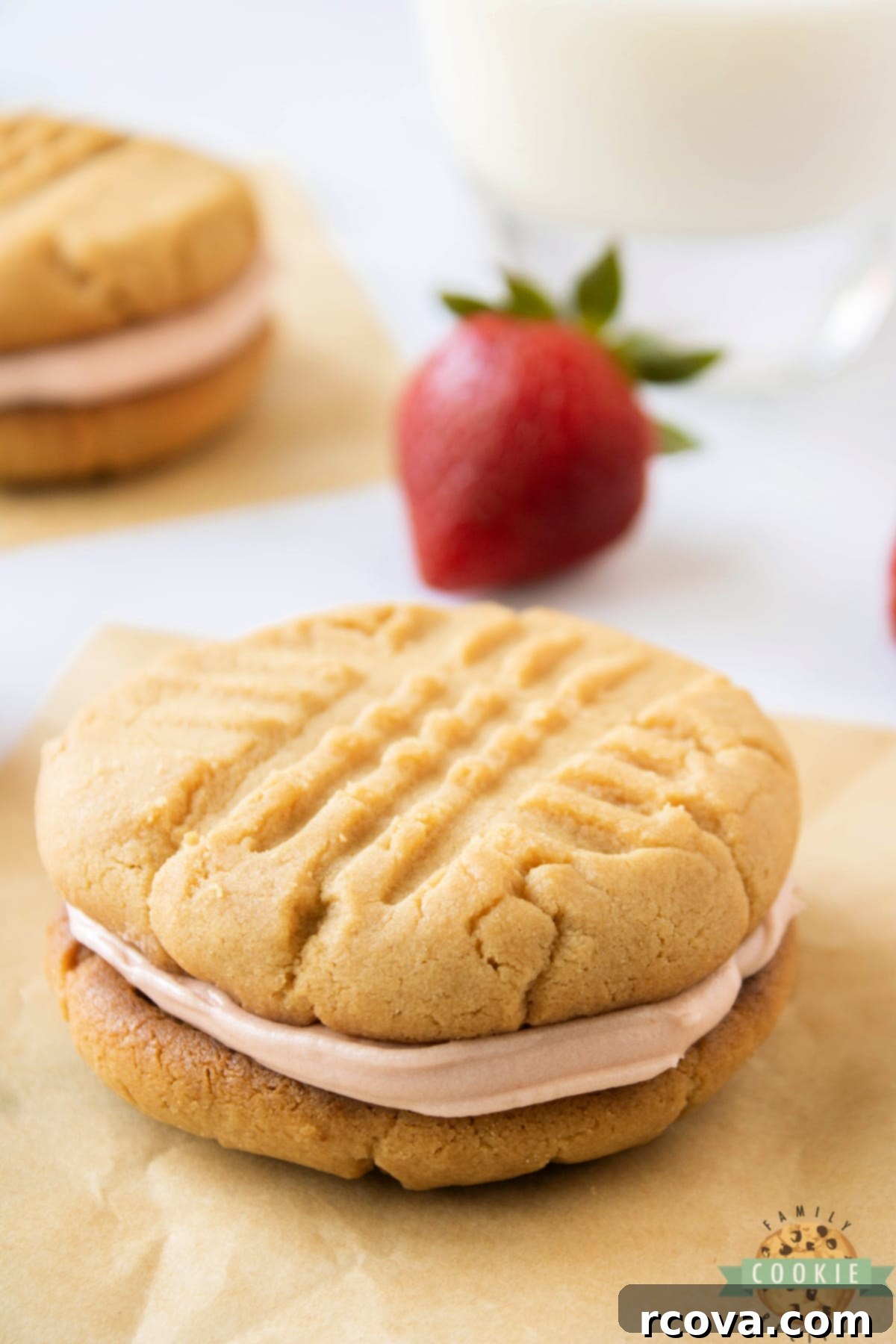 PB&J Cookie Delights 10 Peanut Butter and Jelly Cookie Sandwiches