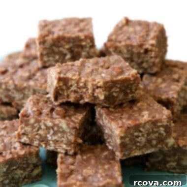 Decadent No-Bake Sweet Squares 8 The Best Chocolate No-Bake Cookie Bars Recipe
