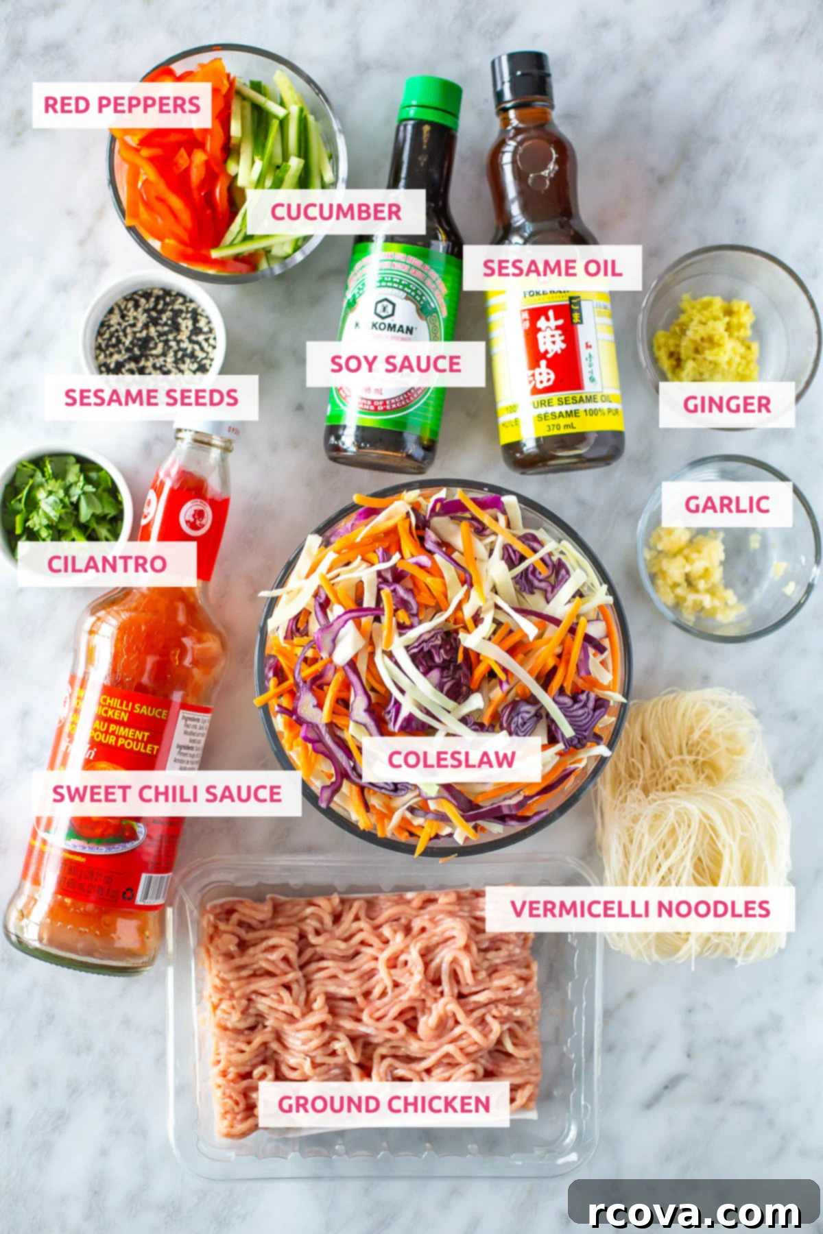 Effortless Chicken Spring Roll Jars 4 Overhead shot of all the colorful ingredients for chicken spring roll jars laid out with labels.