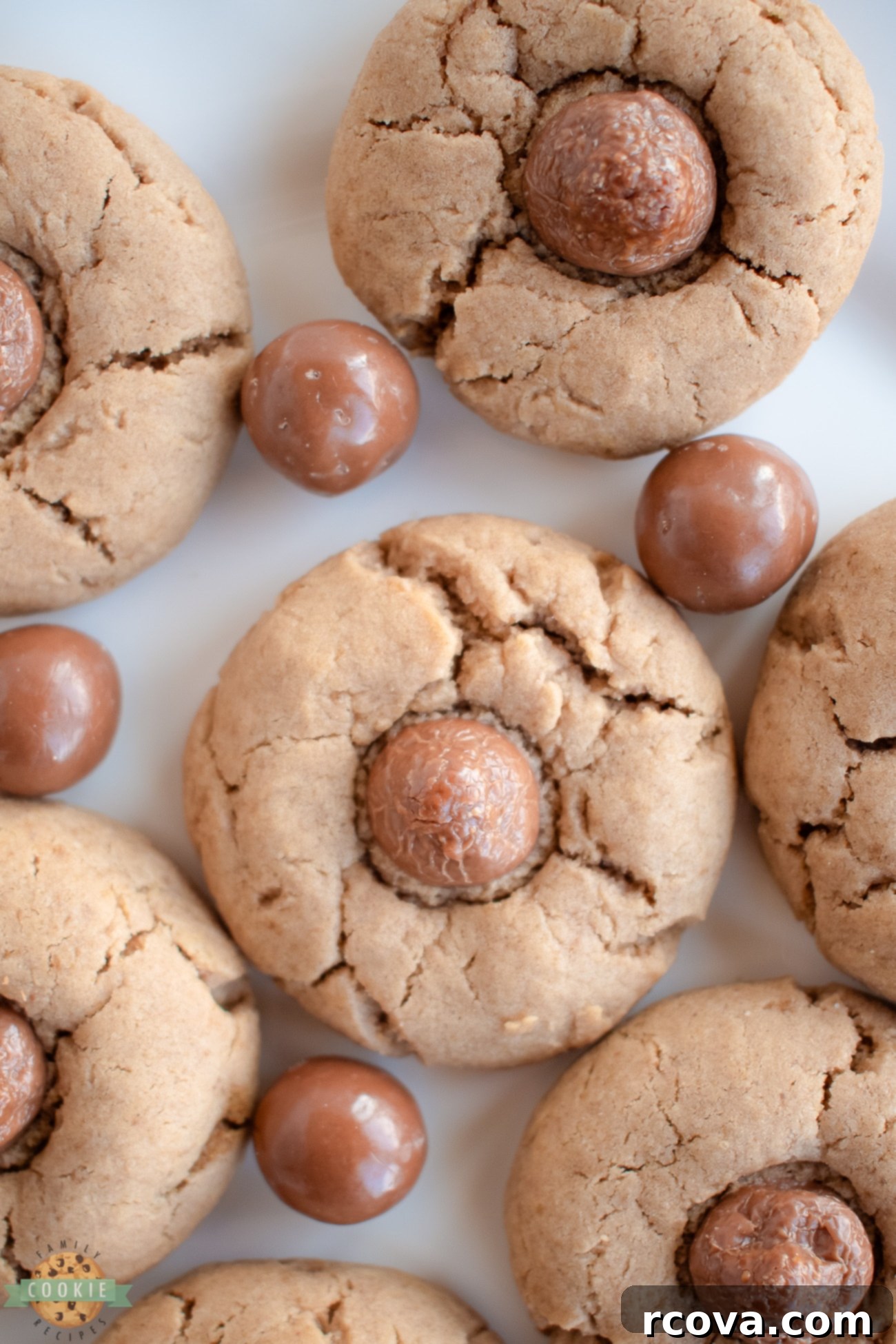 Decadent Malt Chocolate Cookies 2 Chocolate Malt Cookies topped with a Whopper candy