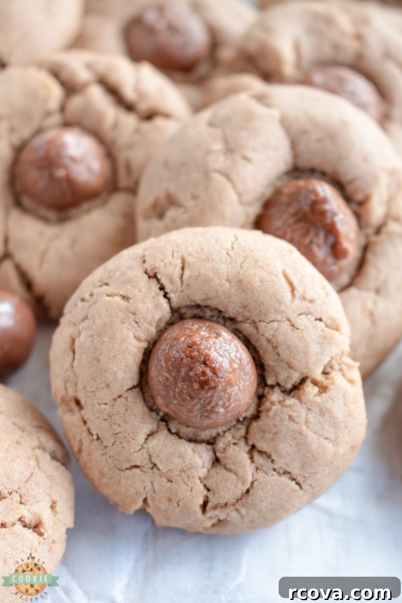 Decadent Malt Chocolate Cookies 5 chocolate whopper cookies with malt powder in the batter