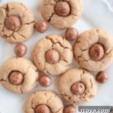Decadent Malt Chocolate Cookies 6 Chocolate Whopper Cookies made with chocolate malt powder