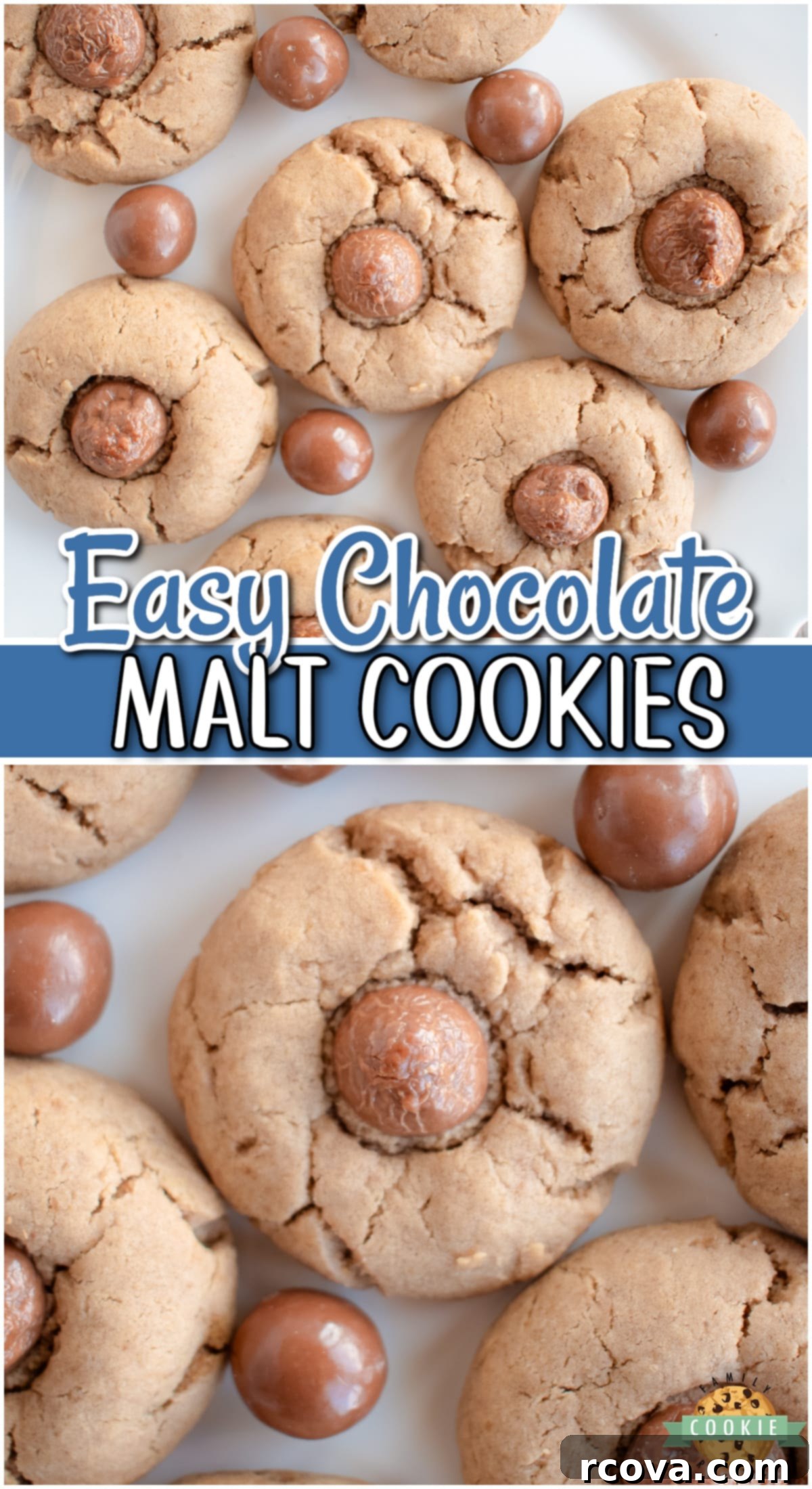 Decadent Malt Chocolate Cookies 9 Chewy Chocolate Malt cookies made with classic cookie ingredients, including malt powder & topped with a chocolate malt ball! Enjoy the great flavor in these whopper candy cookies!