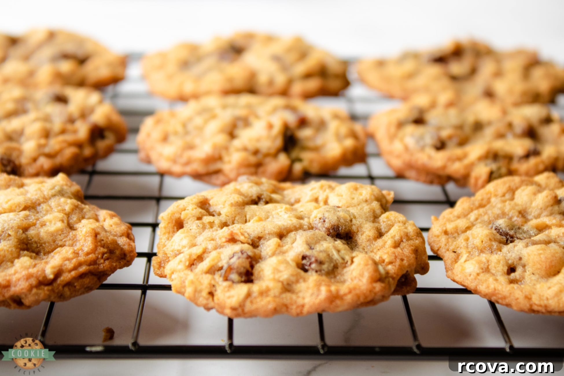 Soft and Chewy Oatmeal Raisin Cookies 2 chewy oatmeal raisin cookies on a cooling rack