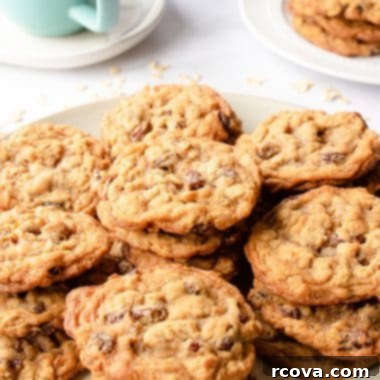 Soft and Chewy Oatmeal Raisin Cookies 7 stacks of chewy oatmeal raisin cookies on a plate