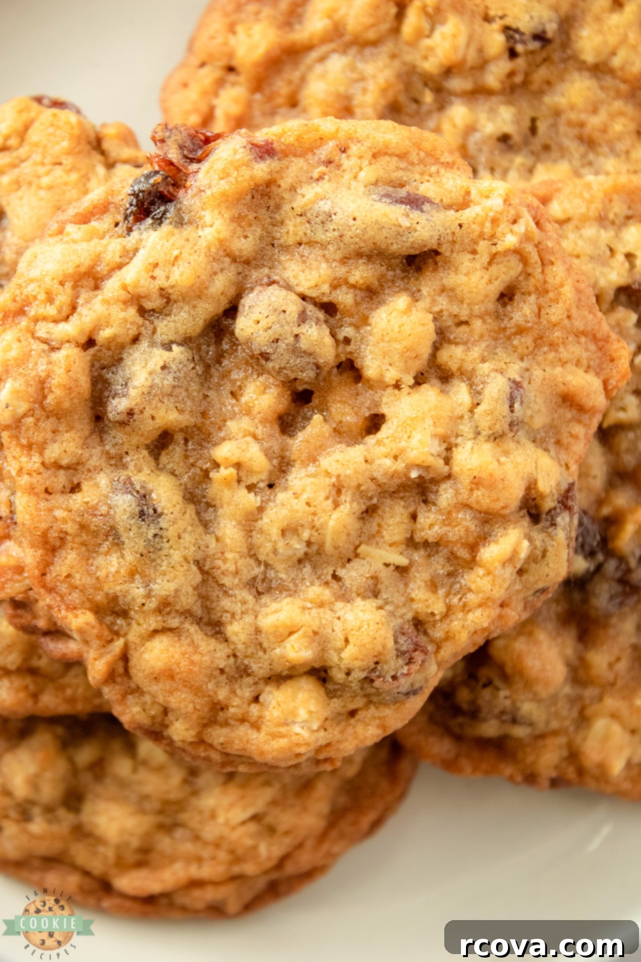 Soft and Chewy Oatmeal Raisin Cookies 8 buttery oatmeal raisin cookies